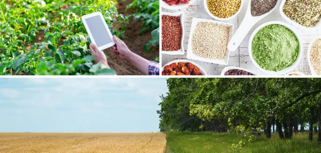 Invest In Sustainable Agriculture:
1. Precision Agriculture
2. Alternative Protein
3. Regenerative Agriculture.