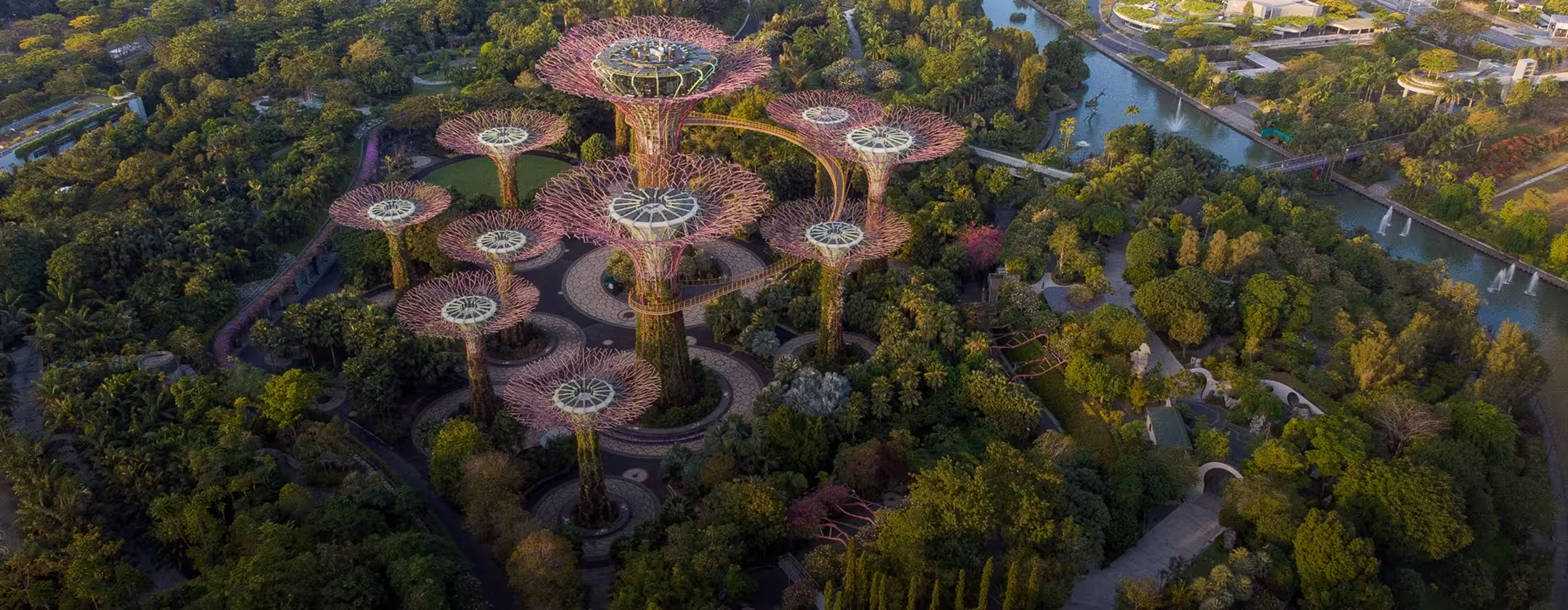 Build Livable Cities
