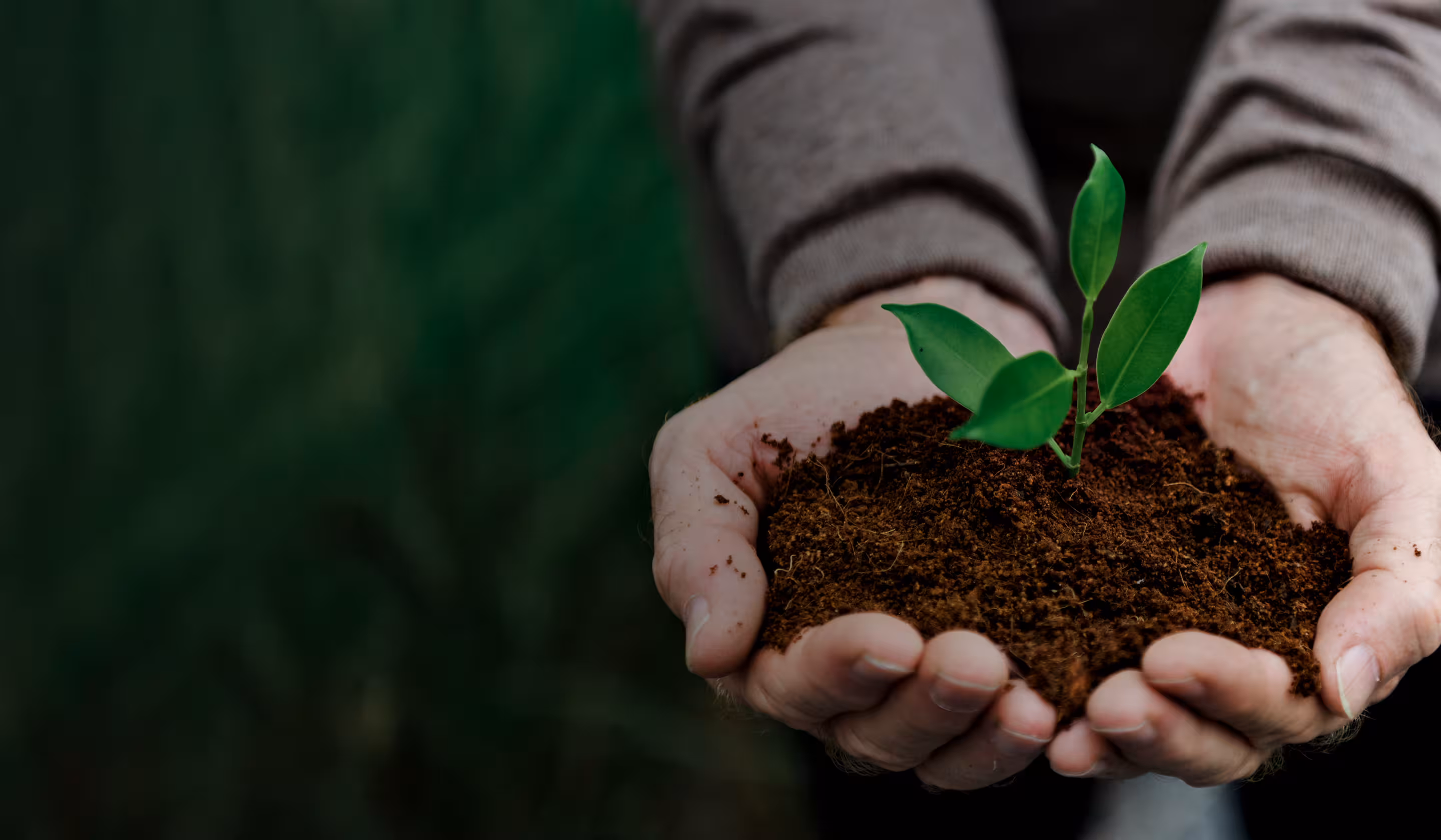 World Environment Day Summit
