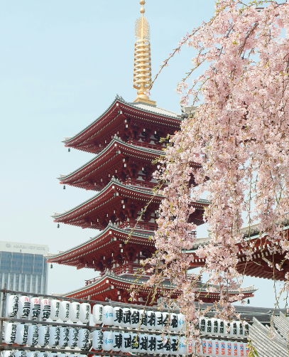 yu-kato-cddaZDt6uRw-unsplash 1